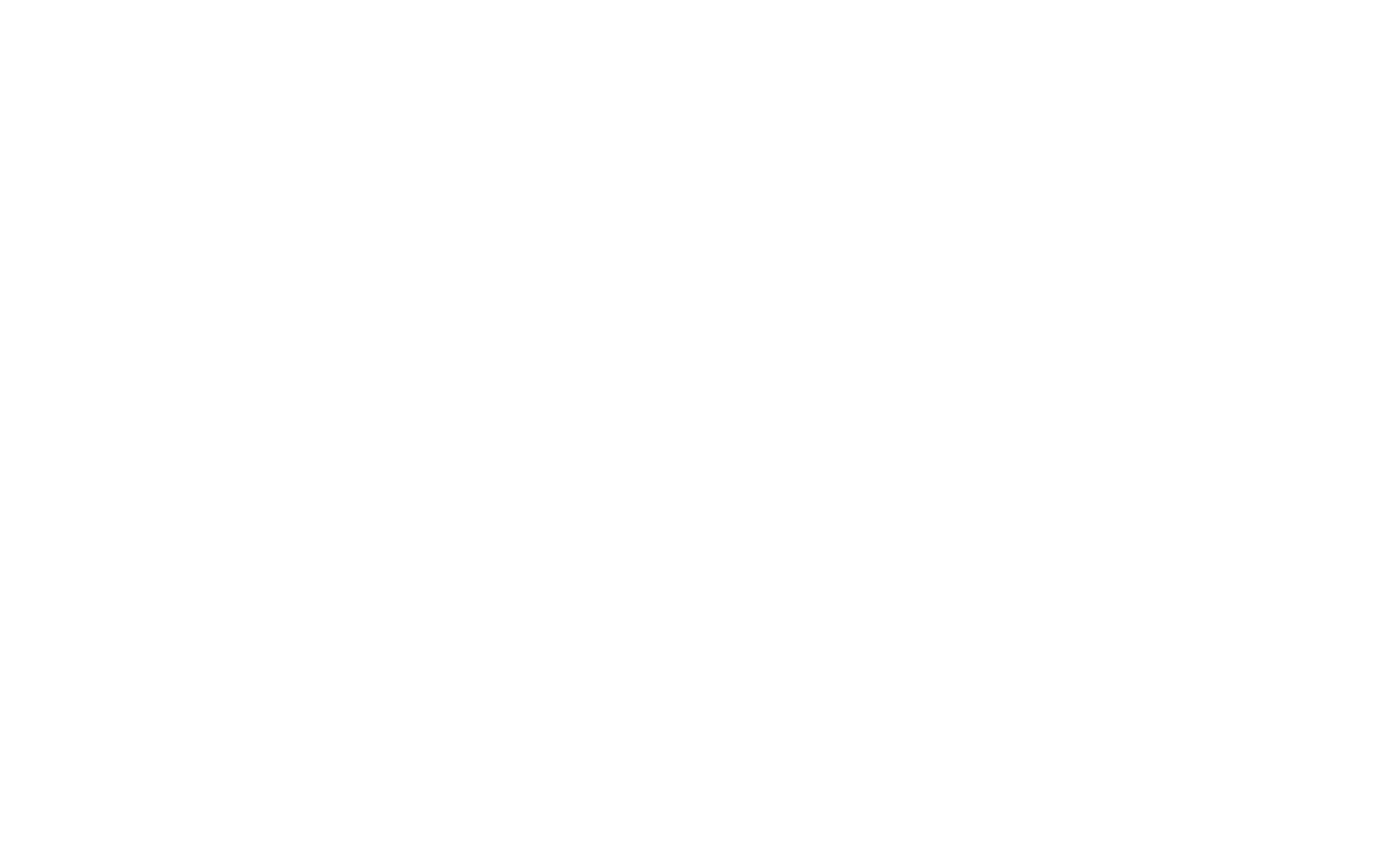 S99 Design